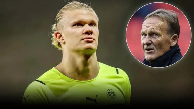 联合国难民署75周年慈善之夜在沪举行，杨扬陈露等体坛明星助阵（上海举办联合国难民署75周年慈善之夜，杨扬、陈露等体坛明星齐聚助阵）